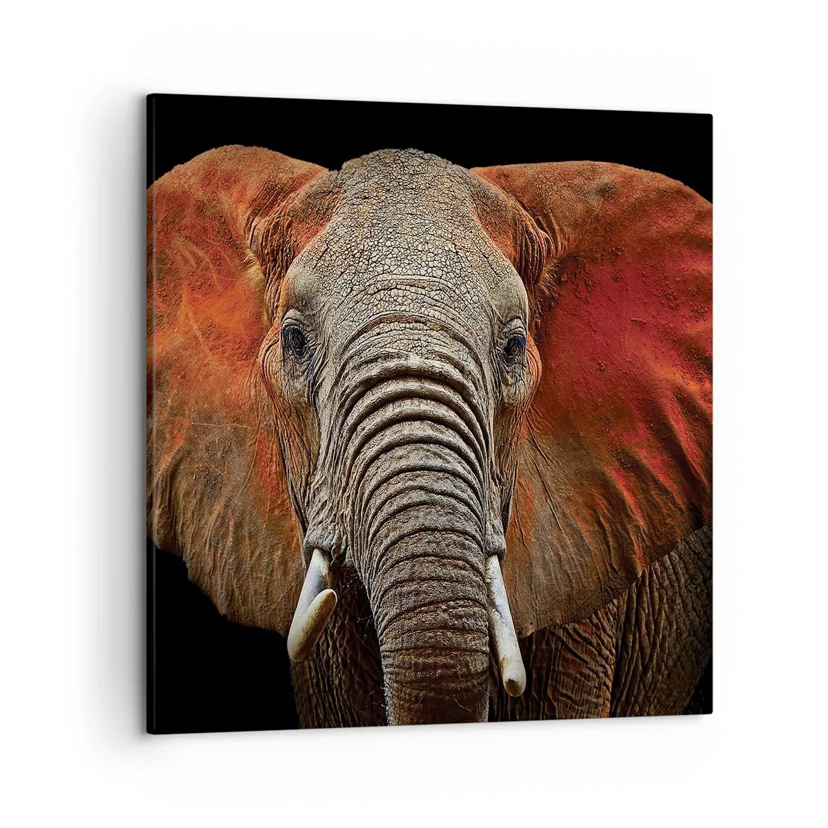 Cuadro sobre lienzo - Impresión de Imagen - Soy salvaje, ¿y tú? - 50x50 cm