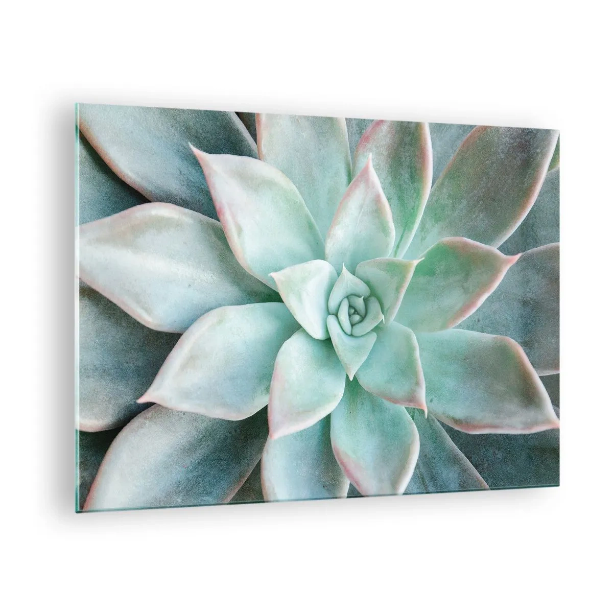 Cuadro sobre vidrio - Impresiones sobre Vidrio - Hojas suculentas secas con un delicado tono verde grisáceo. - 70x50cm - El corazón del desierto - Decoración de pared moderna para salón y dormitorio ARTTOR