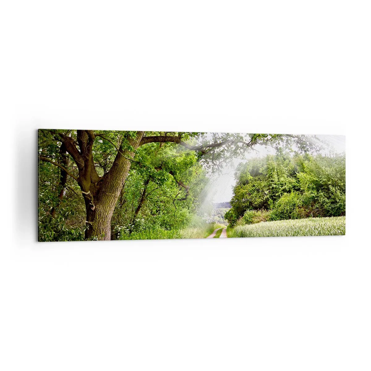 Cuadro sobre lienzo - Impresión de Imagen - Un camino de tierra entre árboles verdes y luz solar. - 160x50cm - Ensueño - Decoración de pared moderna para salón y dormitorio ARTTOR