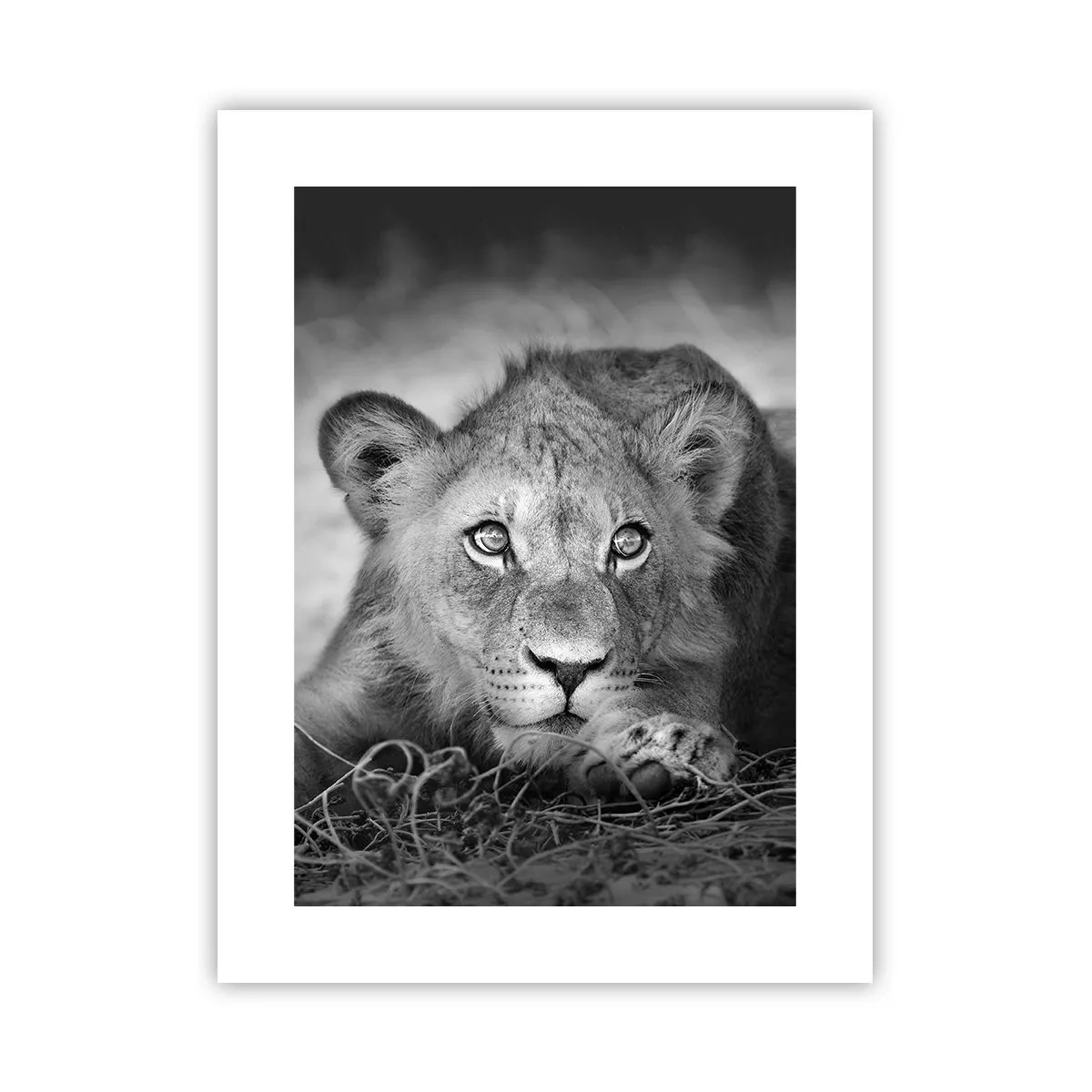 Póster - Un cachorro real - 30x40 cm