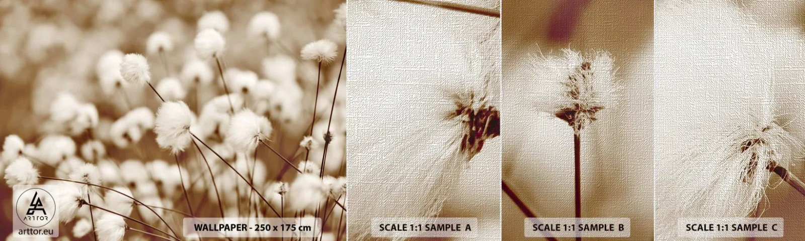 Muestra de fotomural Premium Canvas - Un mullido colchón - Flor de algodon, Flor, Ramita de algodón - 100x30 cm