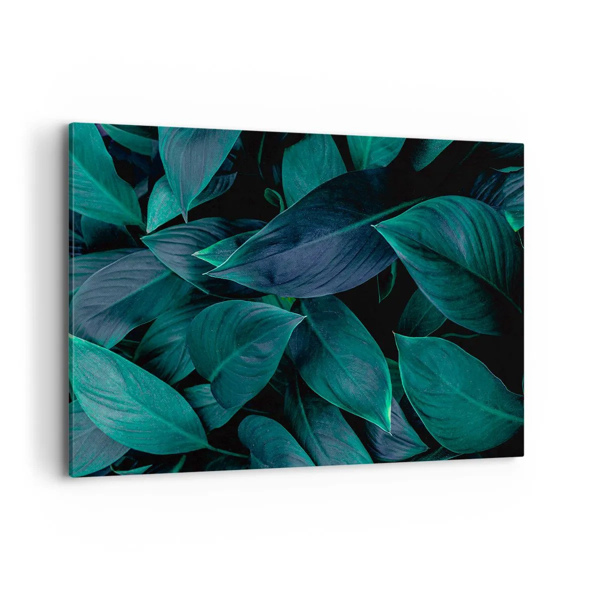 Cuadro sobre lienzo - Impresión de Imagen - Primer plano de hojas verdes con un fondo oscuro - 120x80cm - El propio verde - Decoración de pared moderna para salón y dormitorio ARTTOR
