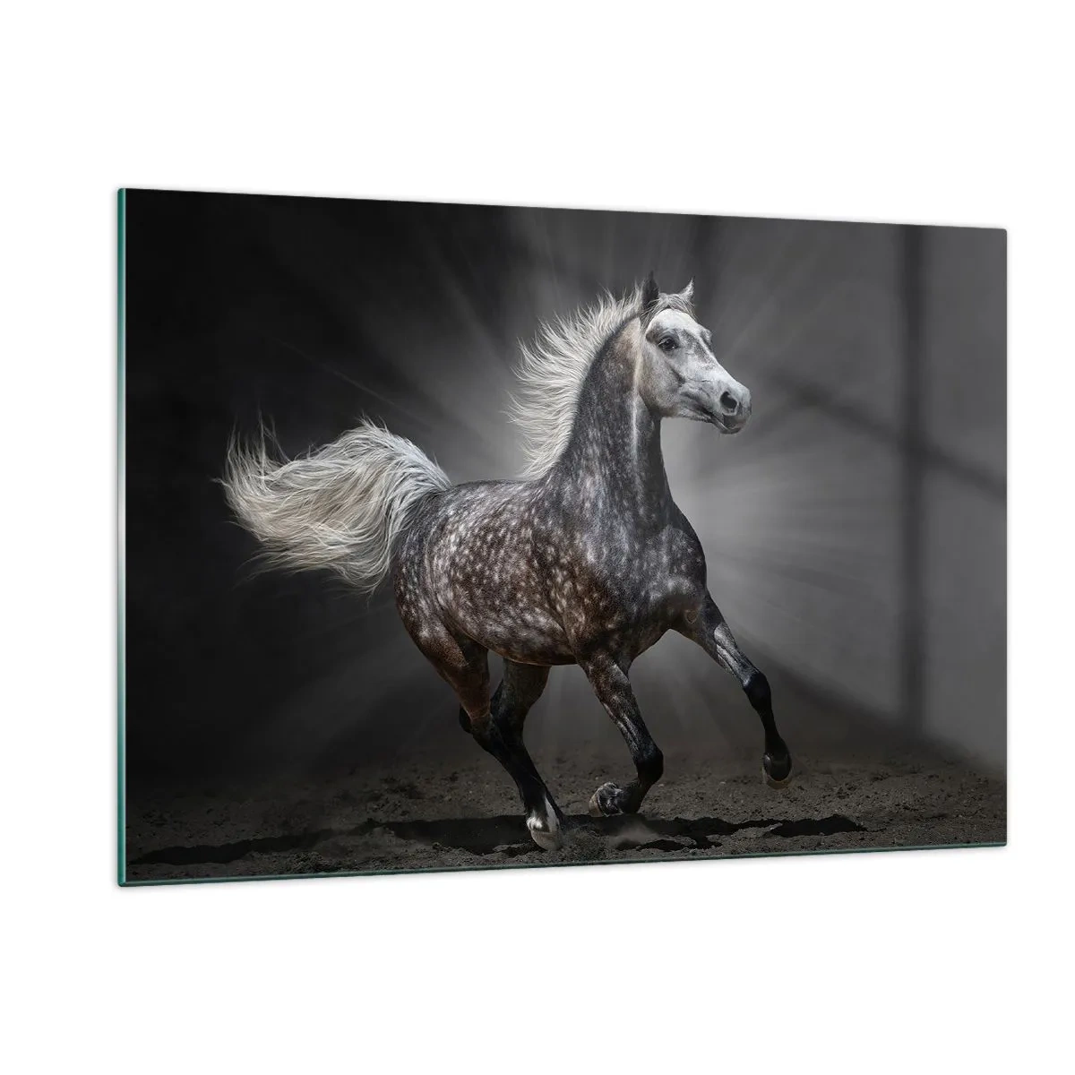 Cuadro sobre vidrio - Impresiones sobre Vidrio - Un caballo al galope sobre un fondo oscuro con efecto de iluminación. - 120x80cm - El gris es hermoso - Decoración de pared moderna para salón y dormitorio ARTTOR