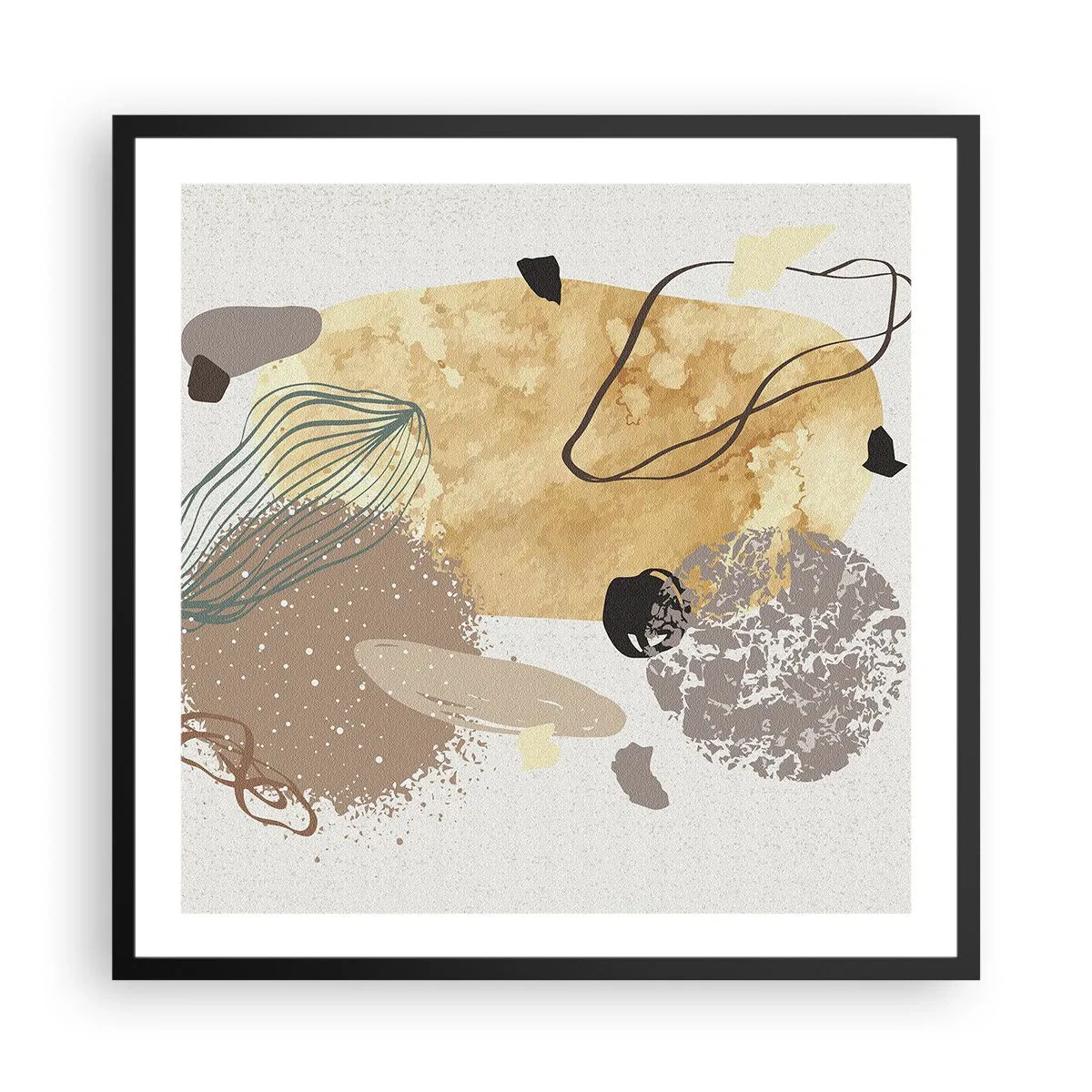 Póster en marco negro - Plumología aplicada - 60x60 cm