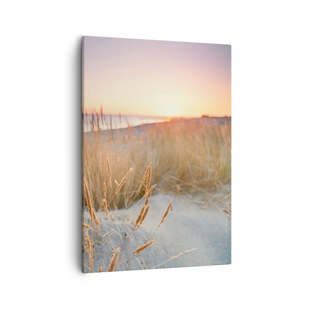 Cuadro sobre lienzo - Impresión de Imagen - Playa al atardecer con hierbas altas - 50x70cm - Dulce nana del Báltico - Decoración de pared moderna para salón y dormitorio ARTTOR