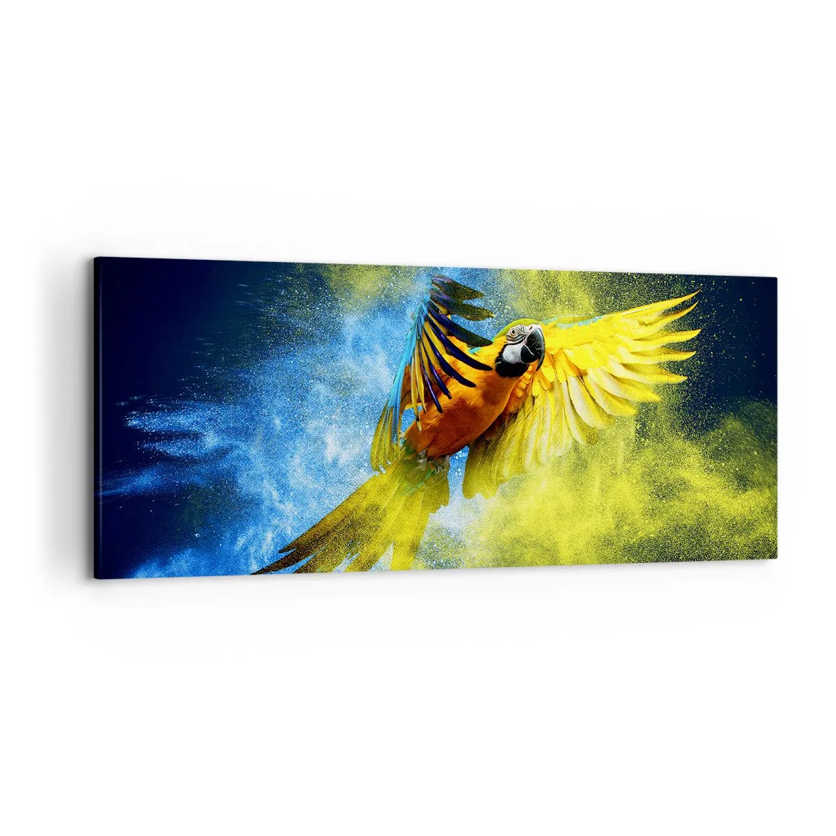 Cuadro sobre lienzo - Impresión de Imagen - Un loro en vuelo sobre un fondo de explosiones de colores amarillo y azul. - 120x50cm - En polvo azul y dorado - Decoración de pared moderna para salón y dormitorio ARTTOR