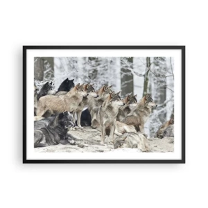 Póster en marco negro - Una manada de lobos en el bosque invernal. - 70x50cm - Familiares y amigos - Decoración de pared moderna para salón y dormitorio ARTTOR
