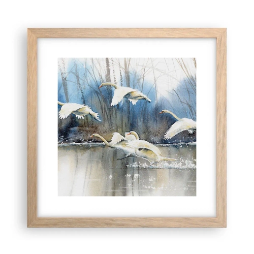 Póster en marco roble claro - Como en un cuento de cisnes salvajes - 30x30 cm