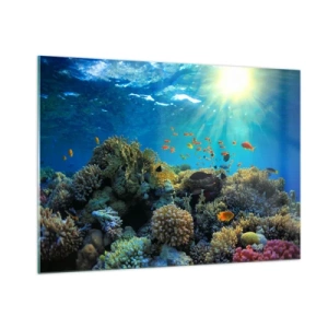 Cuadro sobre vidrio - Impresiones sobre Vidrio - Un colorido arrecife de coral iluminado por los rayos del sol. - 100x70cm - Tesoros submarinos - Decoración de pared moderna para salón y dormitorio ARTTOR