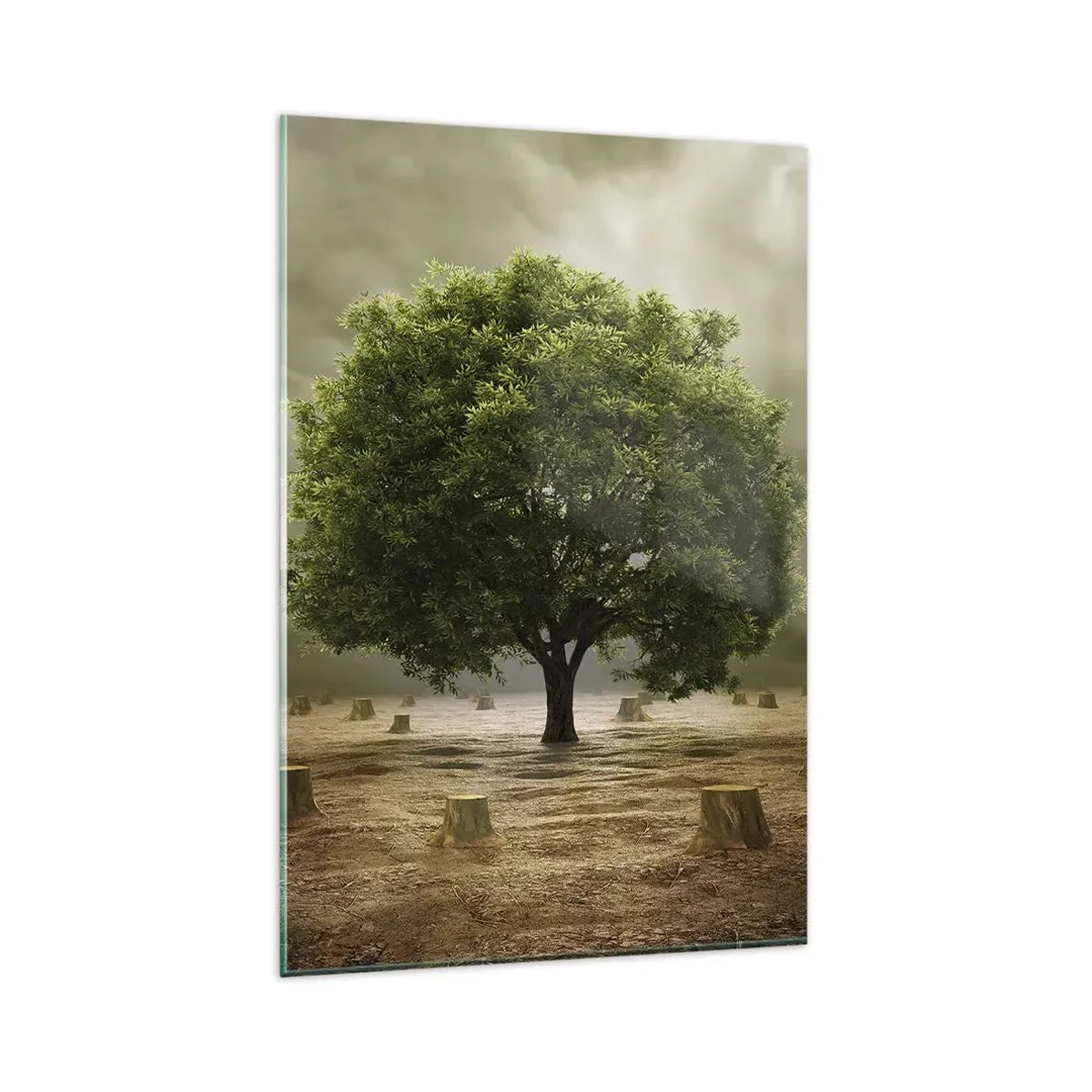 Cuadro sobre vidrio - Impresiones sobre Vidrio - Un árbol verde rodeado de troncos talados contra un cielo nublado. - 80x120cm - La esperanza - Decoración de pared moderna para salón y dormitorio ARTTOR