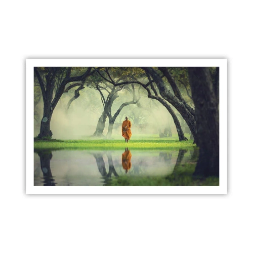 Póster - En el camino de la iluminación - 91x61 cm