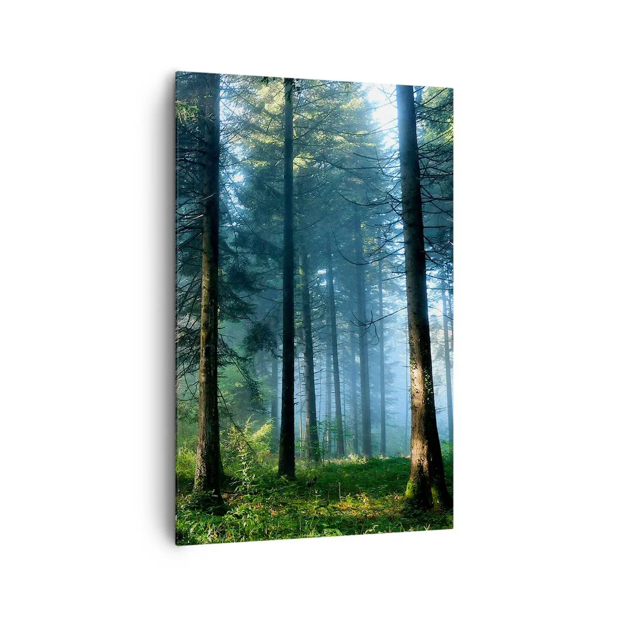 Cuadro sobre lienzo - Impresión de Imagen - Un sendero forestal iluminado por los rayos del sol de la mañana. - 80x120cm - Radiante por la mañana - Decoración de pared moderna para salón y dormitorio ARTTOR