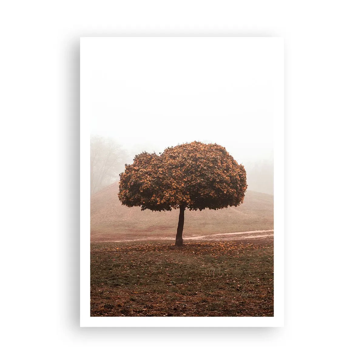 Póster - Después de un verano ajetreado - 70x100 cm