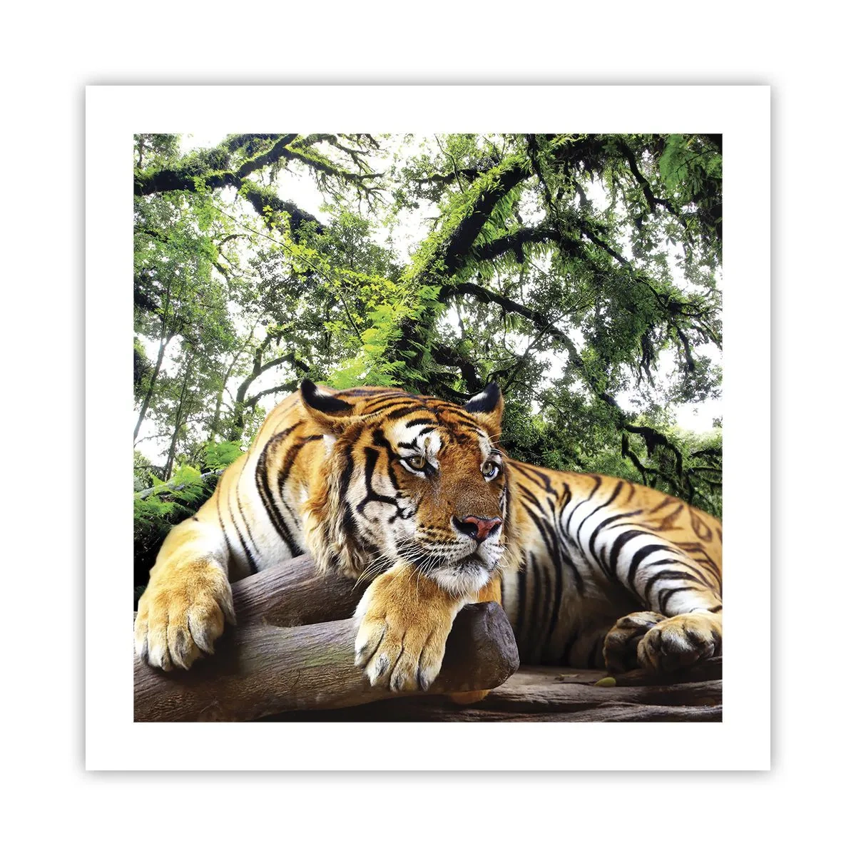 Póster - Atentamente - 50x50 cm