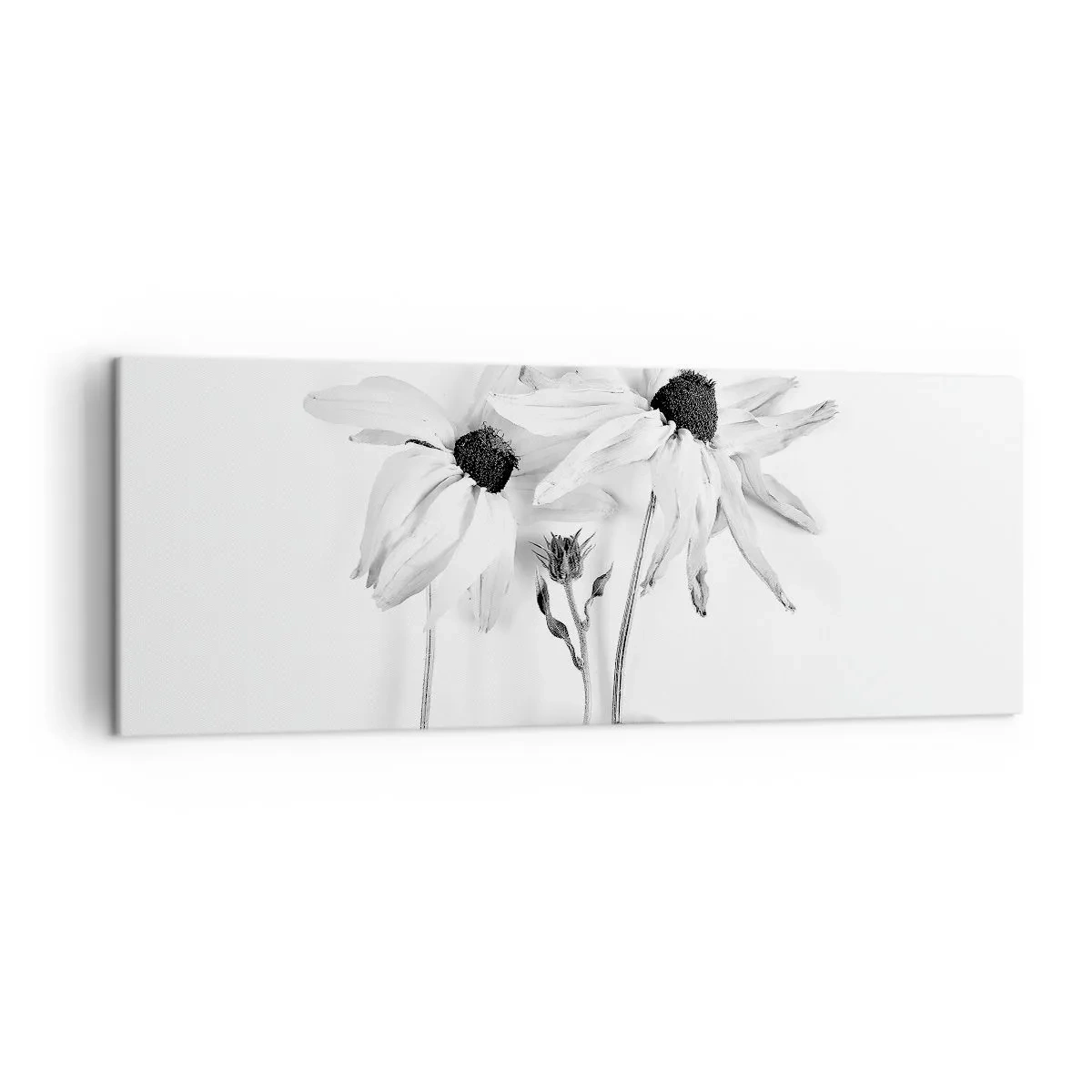 Cuadro sobre lienzo - Impresión de Imagen - Flores en blanco y negro con una composición sutil. - 140x50cm - Nadie quiere estar solo - Decoración de pared moderna para salón y dormitorio ARTTOR