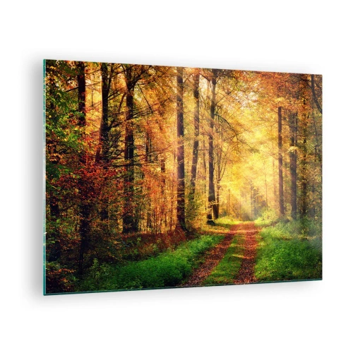 Cuadro sobre vidrio - Impresiones sobre Vidrio - Camino otoñal en el bosque con rayos de sol. - 70x50cm - Silencio dorado del bosque - Decoración de pared moderna para salón y dormitorio ARTTOR