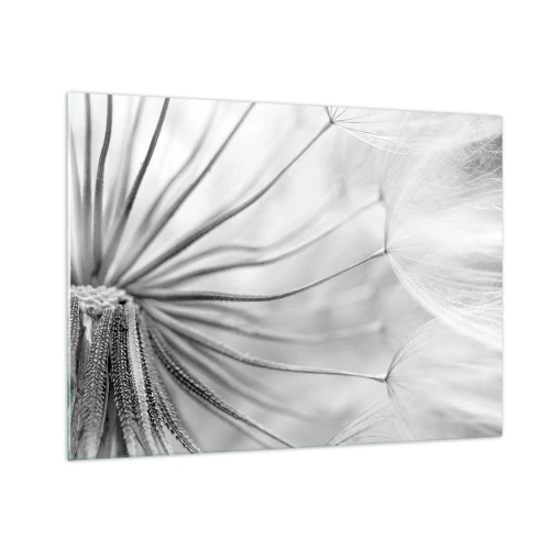 Cuadro sobre vidrio - Impresiones sobre Vidrio - Fotografía macro de un diente de león en tonos blanco y negro. - 70x50cm - Caricias del viento - Decoración de pared moderna para salón y dormitorio ARTTOR