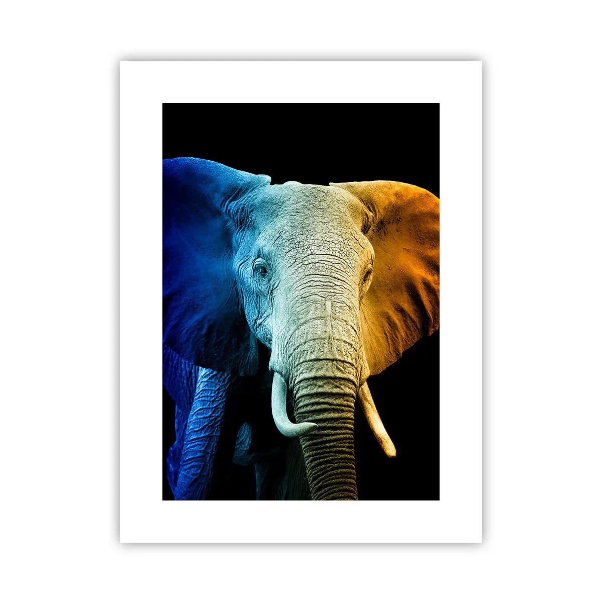 Póster - Excéntrico, no un bicho raro - 30x40 cm