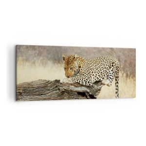 Cuadro sobre lienzo - Impresión de Imagen - Un leopardo descansando en el tronco de un árbol en la sabana. - 120x50cm - Voy por mi cuenta - Decoración de pared moderna para salón y dormitorio ARTTOR