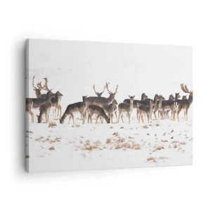 Cuadro sobre lienzo - Impresión de Imagen - Una manada de ciervos sobre un fondo nevado. - 70x50cm - ¿Se acerca la Navidad? - Decoración de pared moderna para salón y dormitorio ARTTOR
