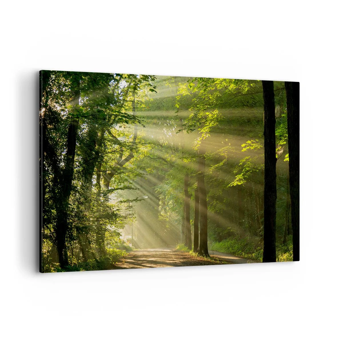 Cuadro sobre lienzo - Impresión de Imagen - Camino forestal con rayos de sol brillando a través de los árboles. - 120x80cm - Un momento en el bosque - Decoración de pared moderna para salón y dormitorio ARTTOR