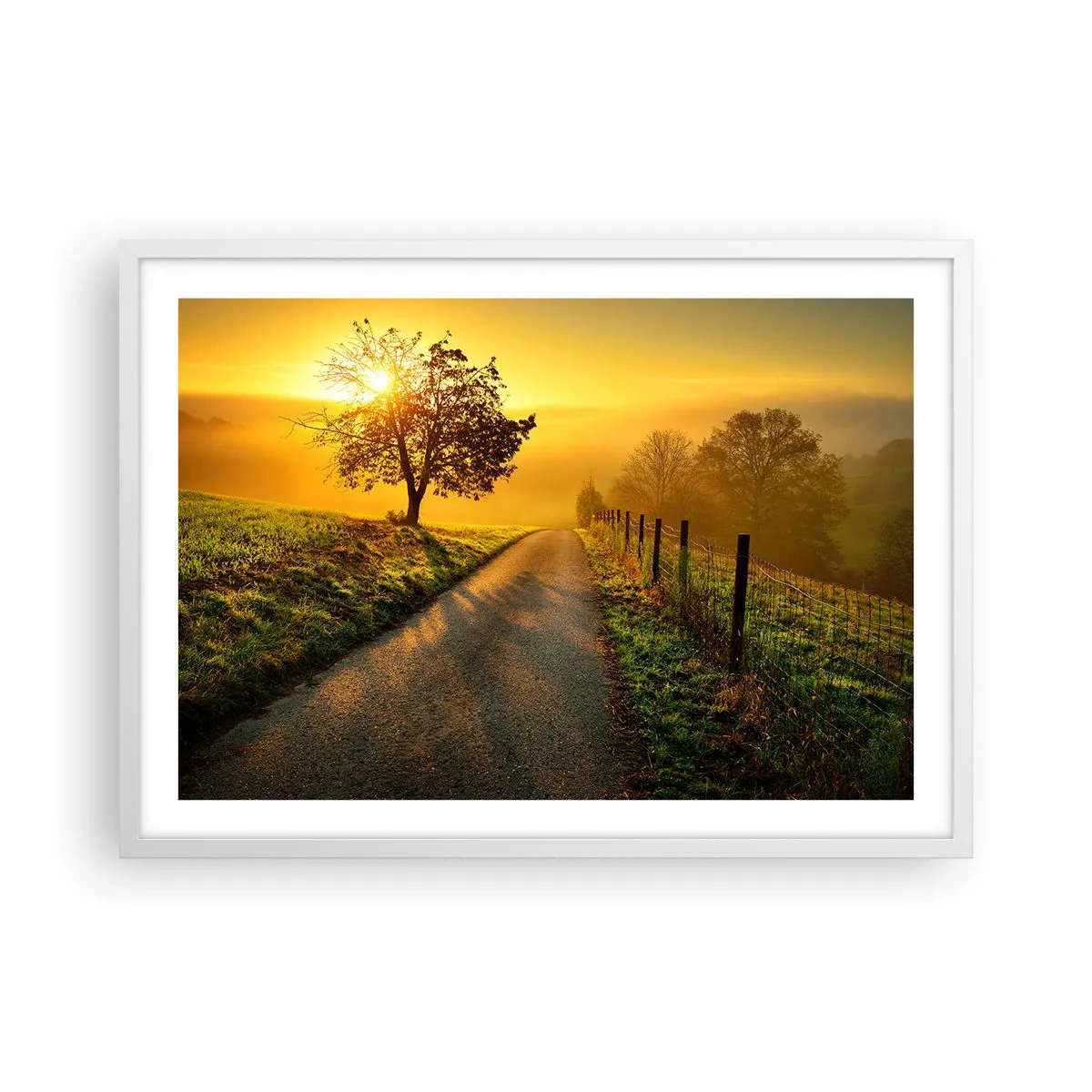 Póster en marco blanco - Tarde melosa - 70x50 cm