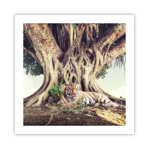 Póster - Una visión desde el Génesis - 50x50 cm