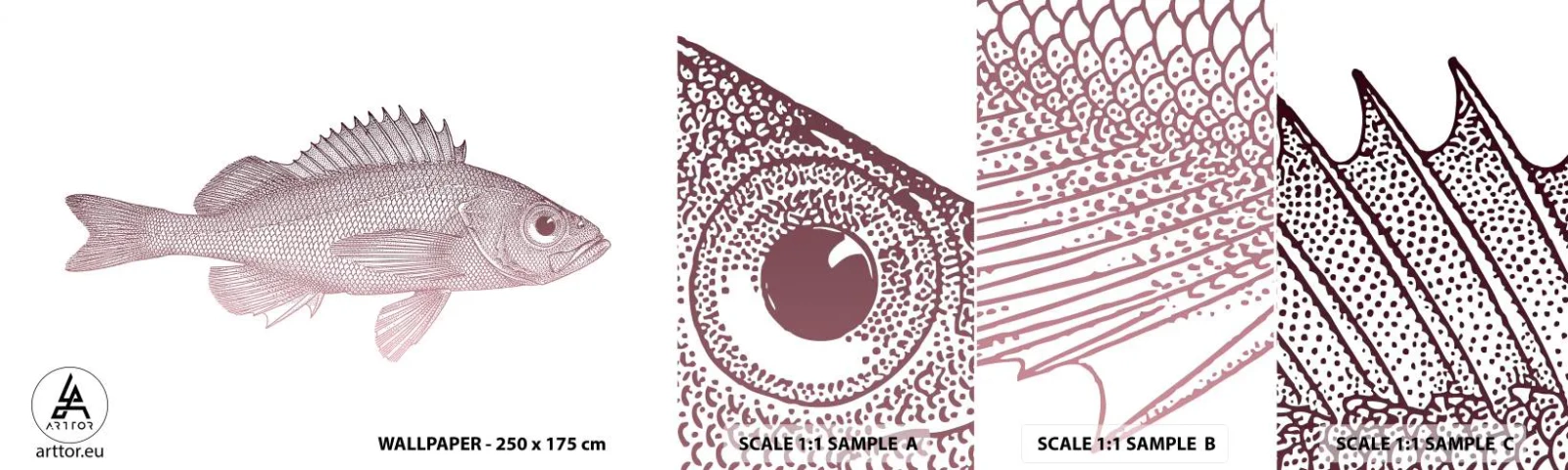 Muestra De Fotomural Standard Eco - Pez de ojos grandes - Pez, Submarino, minimalista - 100x30 cm