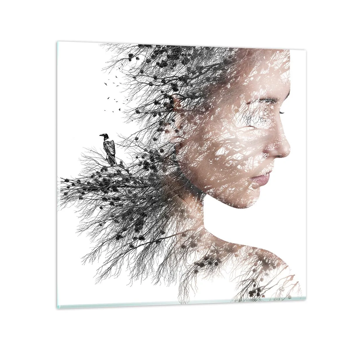 Cuadro sobre vidrio - Impresiones sobre Vidrio - Espíritu del bosque - 50x50 cm
