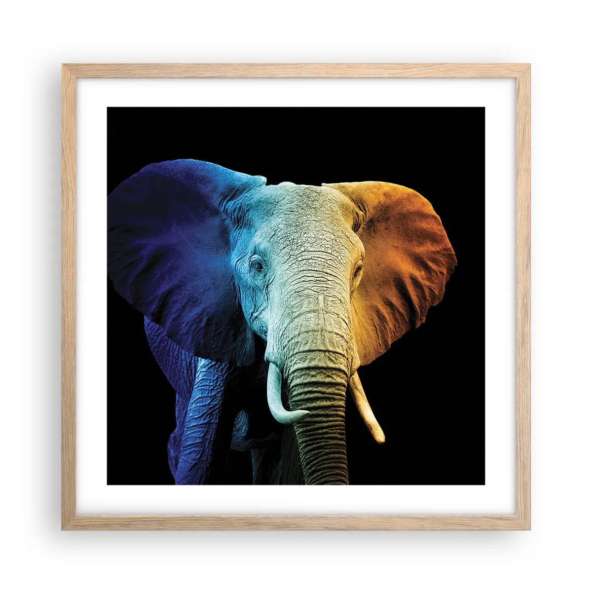 Póster en marco roble claro - Excéntrico, no un bicho raro - 50x50 cm