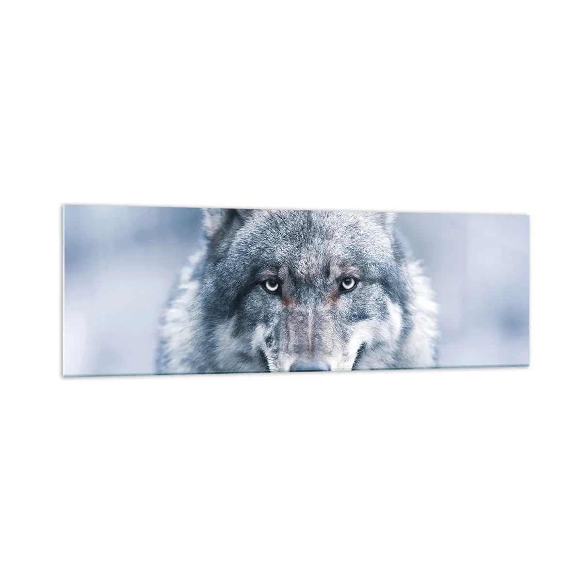 Cuadro sobre vidrio - Impresiones sobre Vidrio - Un lobo con una mirada intensa en un paisaje invernal. - 160x50cm - ¿Aceptarás el reto? - Decoración de pared moderna para salón y dormitorio ARTTOR
