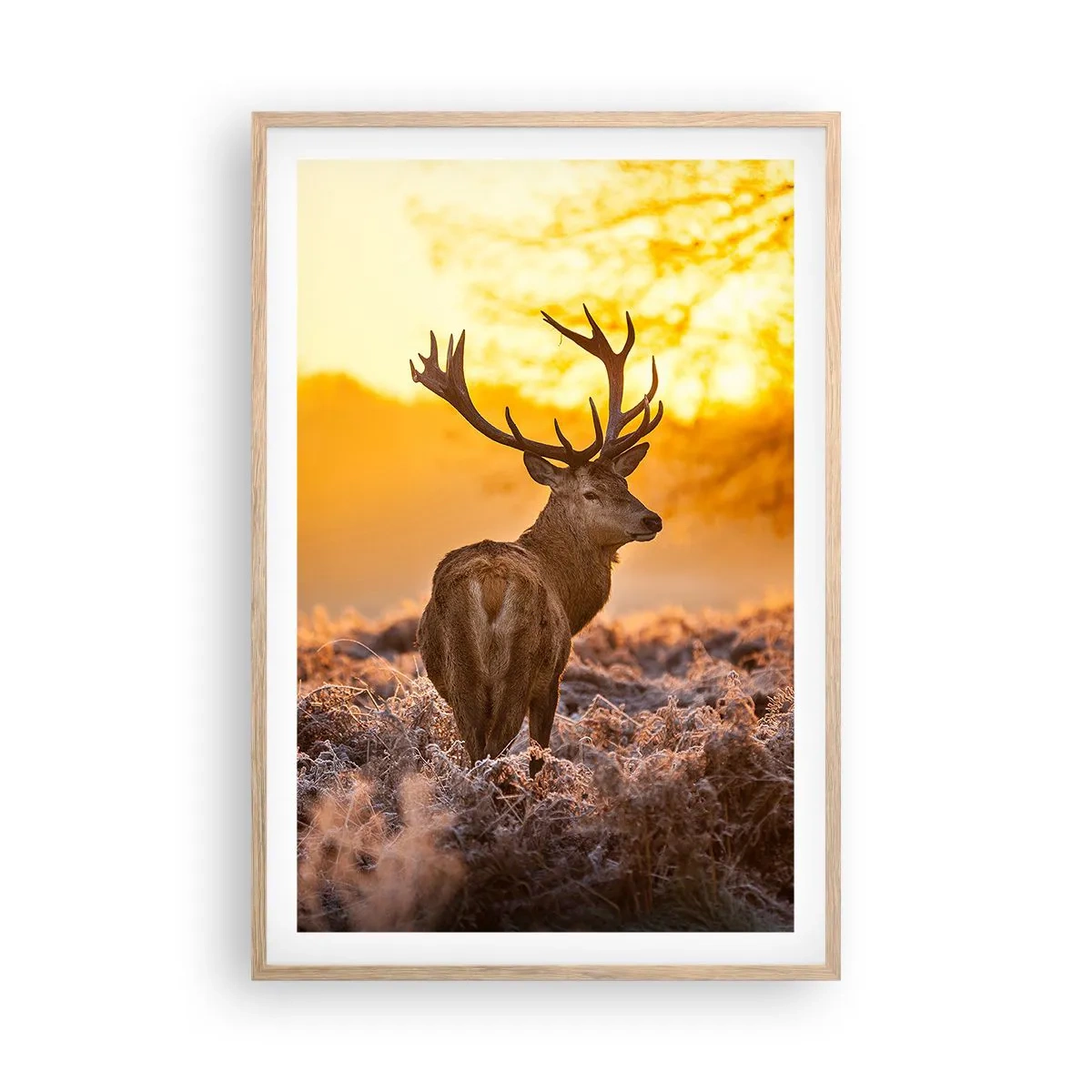 Póster en marco roble claro - Rey del bosque de otoño - 61x91 cm