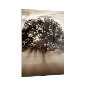 Cuadro sobre vidrio - Impresiones sobre Vidrio - Un árbol en la niebla de la mañana con rayos de sol brillando a través de las ramas. - 50x70cm - Un árbol de buenas noticias  - Decoración de pared moderna para salón y dormitorio ARTTOR
