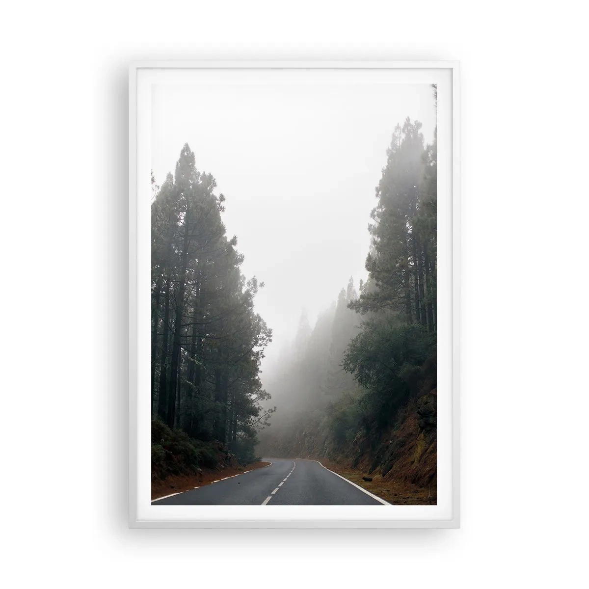 Póster en marco blanco - La historia de un bosque mágico - 70x100 cm