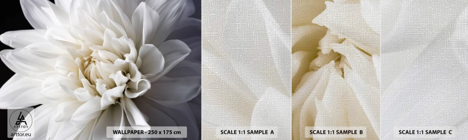 Muestra de fotomural Premium Canvas - La novia de la mañana - Flor, Dalia, Naturaleza - 100x30 cm