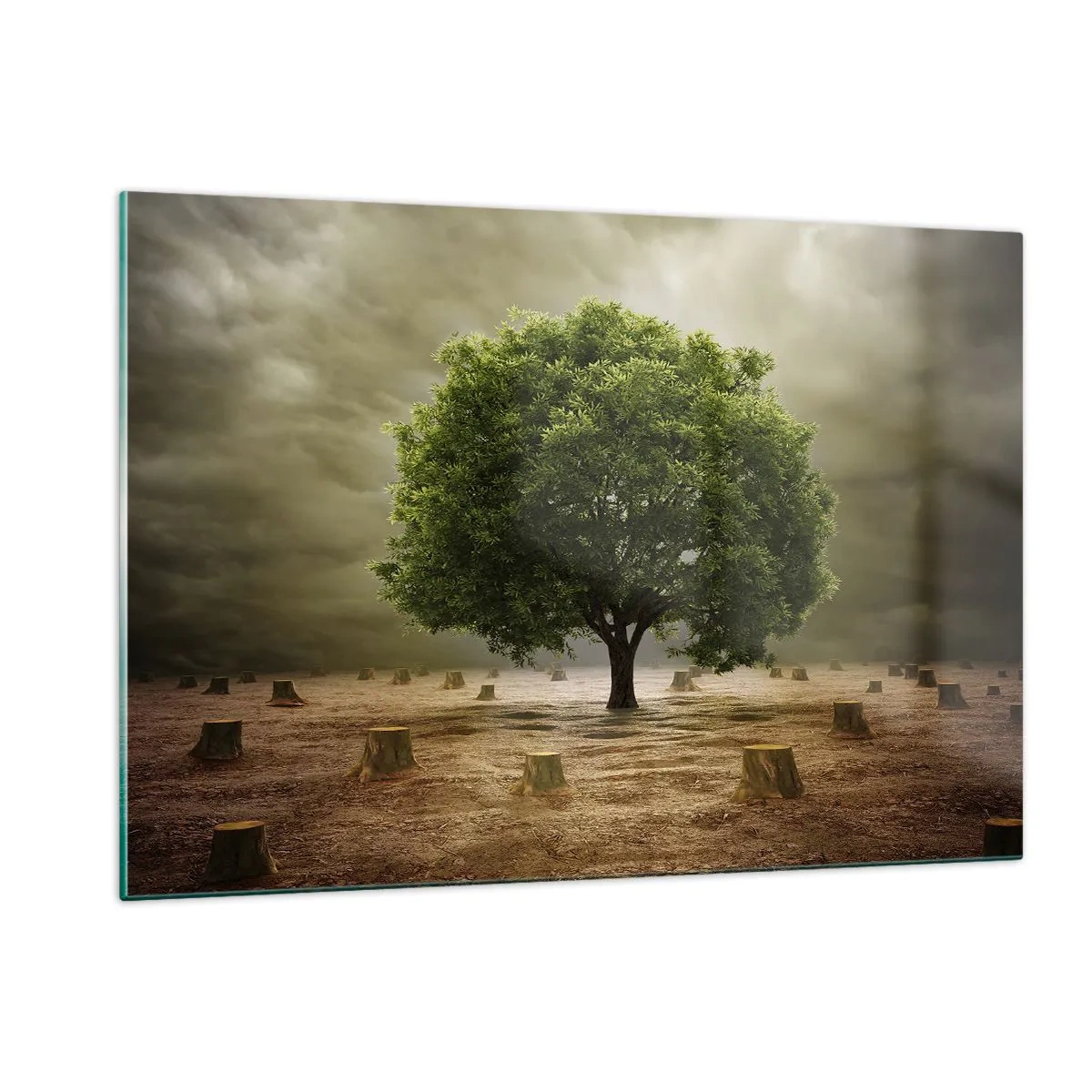 Cuadro sobre vidrio - Impresiones sobre Vidrio - Un árbol verde rodeado de troncos contra un cielo sombrío. - 120x80cm - La esperanza - Decoración de pared moderna para salón y dormitorio ARTTOR