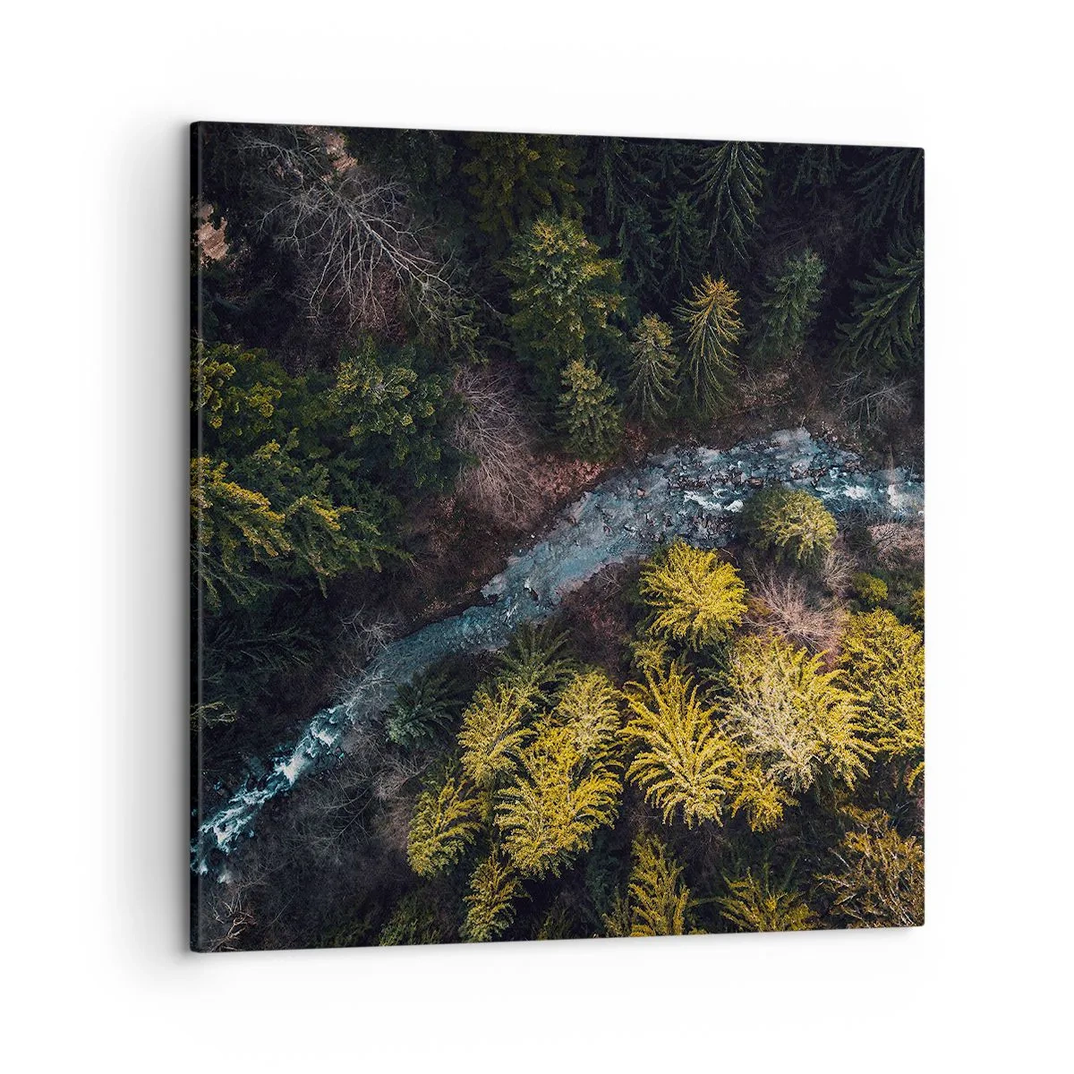 Cuadro sobre lienzo - Impresión de Imagen - Rápido, cada vez más rápido - 50x50 cm