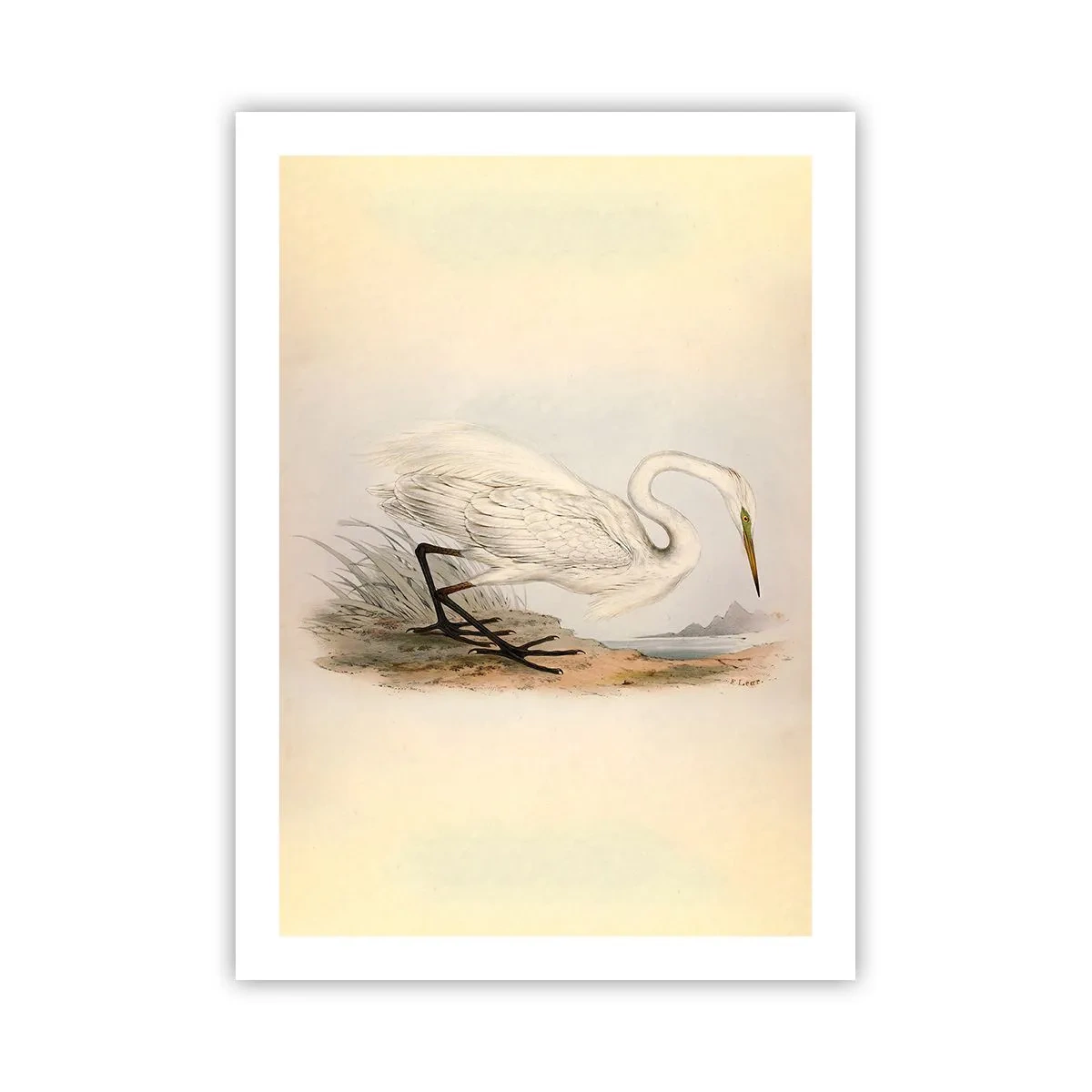 Póster - Ilustración de una garza sobre un fondo de paisaje pastel - 50x70cm - Dama de los juncos - Decoración de pared moderna para salón y dormitorio ARTTOR