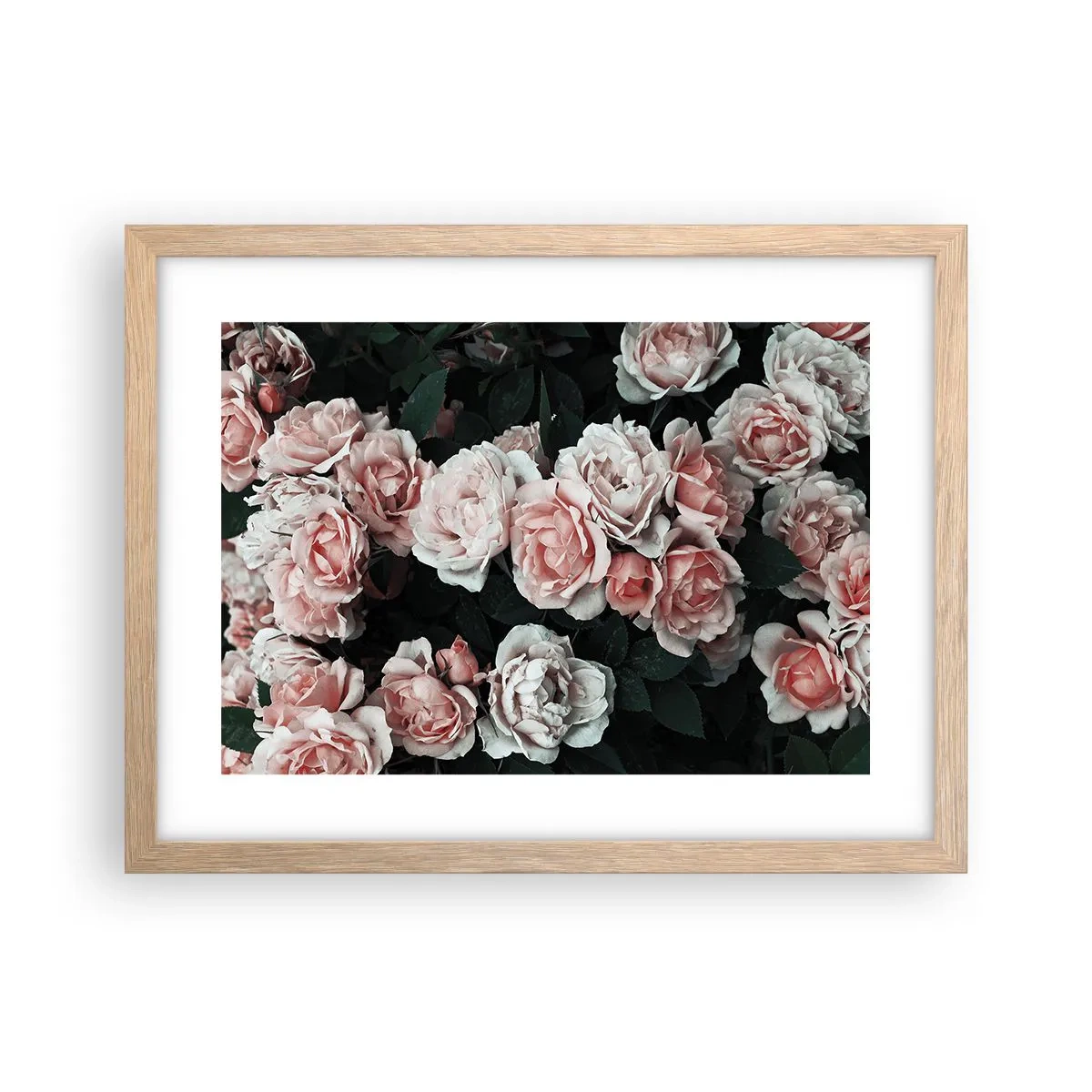 Póster en marco roble claro - Conjunto de rosas - 40x30 cm