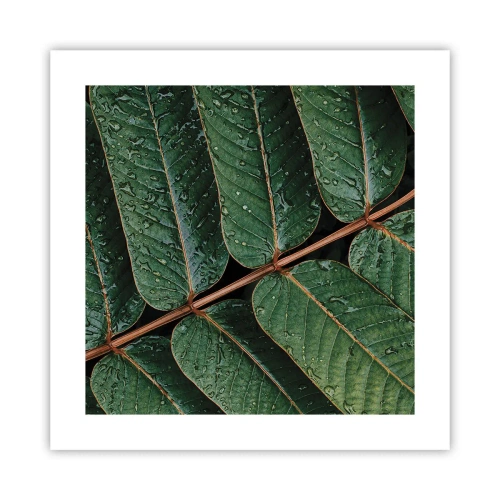 Póster - En un ritmo verde - 40x40 cm