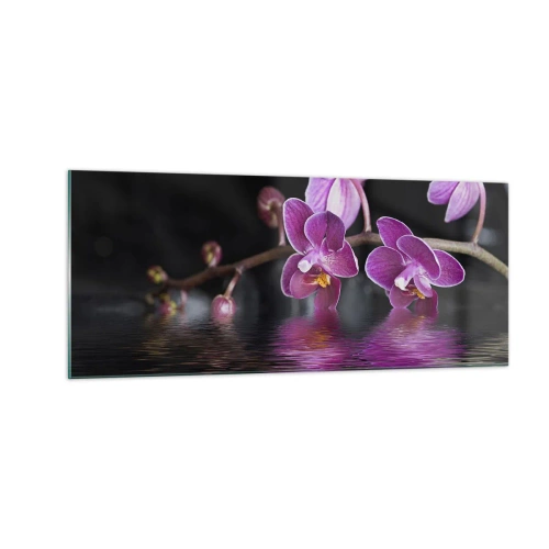 Cuadro sobre vidrio - Impresiones sobre Vidrio - Un reflejo lila de la belleza - 100x40 cm