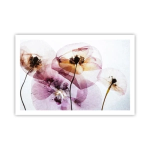 Póster - Cuerpo de flor - 91x61 cm