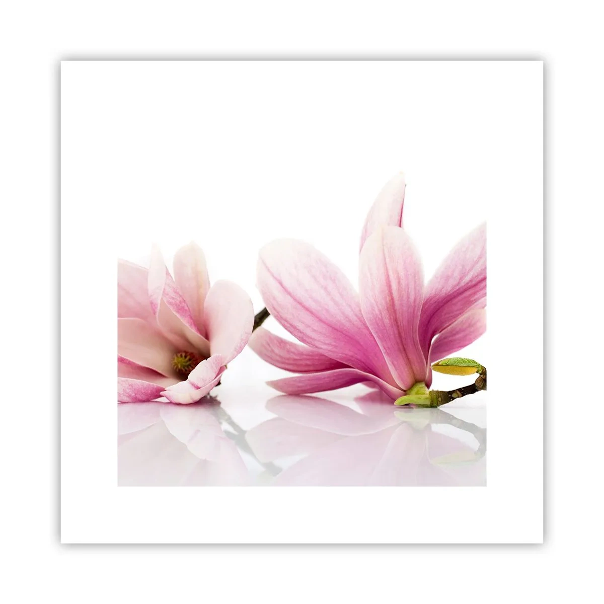 Póster - Suave como un soplo de primavera - 30x30 cm