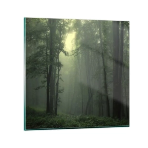Cuadro sobre vidrio - Impresiones sobre Vidrio - Antes de que se despierte el bosque - 30x30 cm