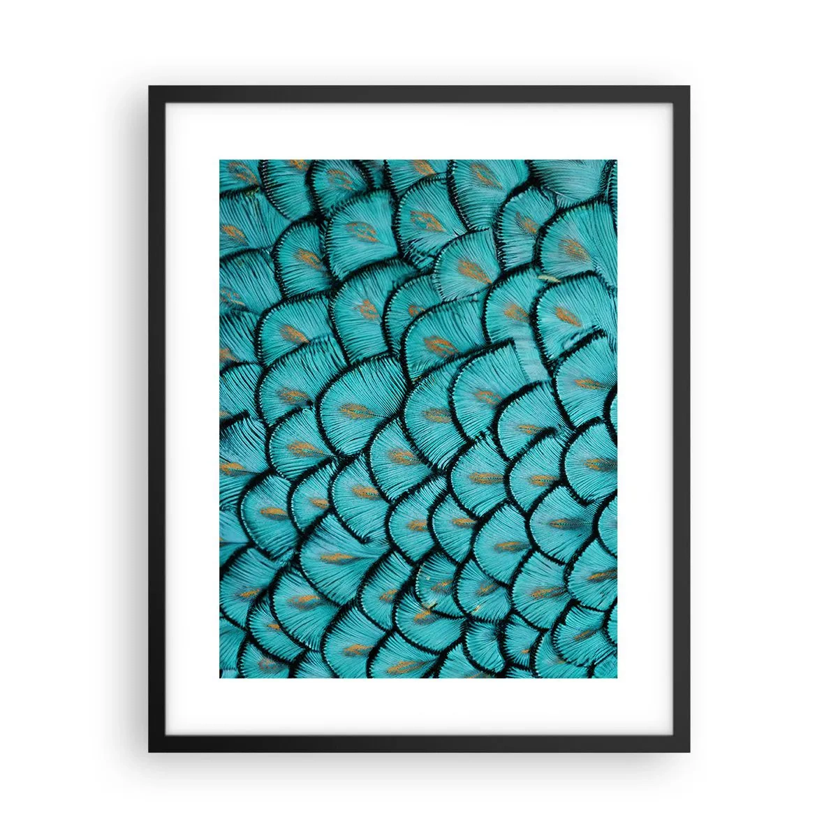 Póster en marco negro - La gran gala de las plumas - 40x50 cm