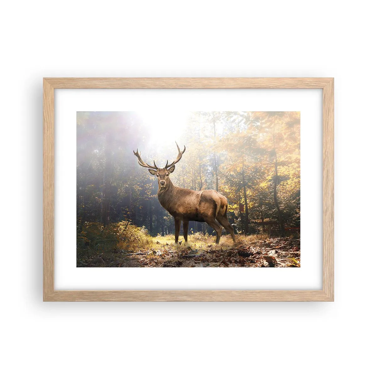 Póster en marco roble claro - Con toda la majestuosidad - 40x30 cm