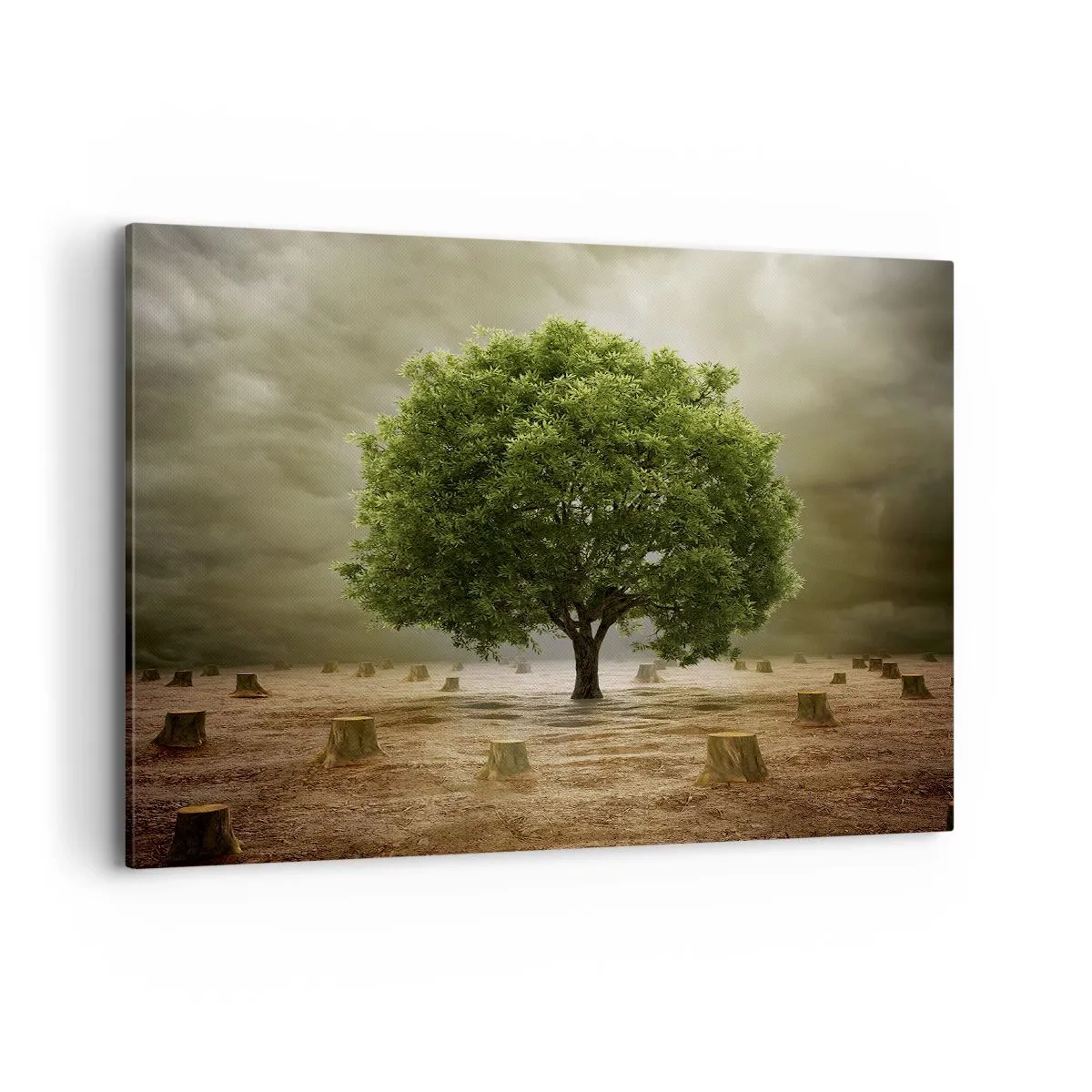 Cuadro sobre lienzo - Impresión de Imagen - Un árbol verde rodeado de troncos talados contra un cielo nublado. - 100x70cm - La esperanza - Decoración de pared moderna para salón y dormitorio ARTTOR