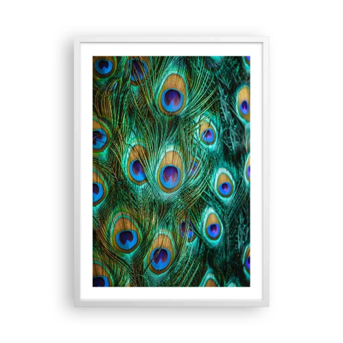 Póster en marco blanco - Mirada de pavo real - 50x70 cm