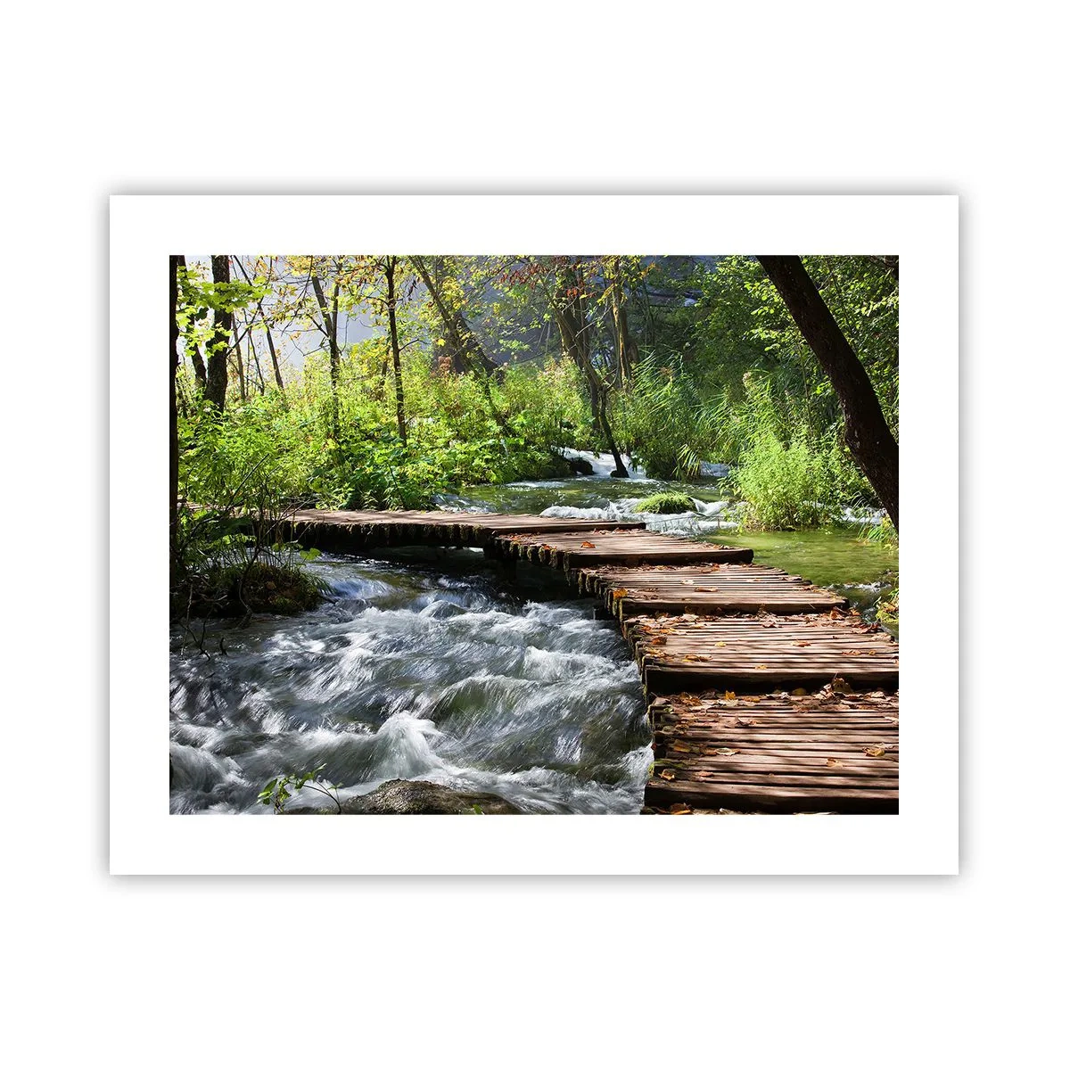 Póster - Sobre una cascada de espuma - 50x40 cm