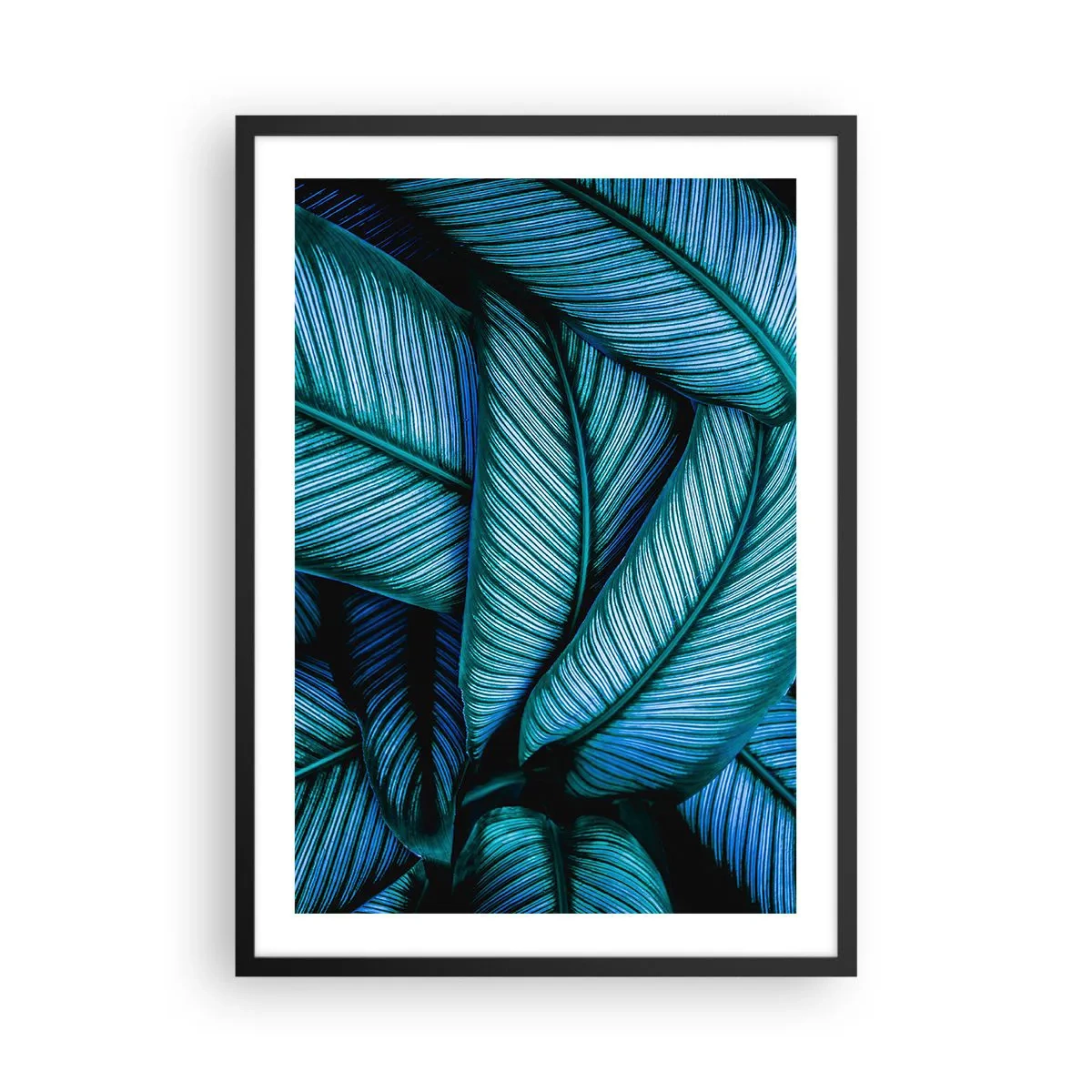 Póster en marco negro - Las fascinantes hojas de color verde azulado del banano. - 50x70cm - Líneas de vida - Decoración de pared moderna para salón y dormitorio ARTTOR